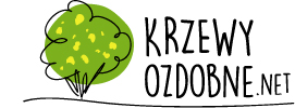 krzewy ozdobne net sklep ogrodniczy online rośliny przez internet