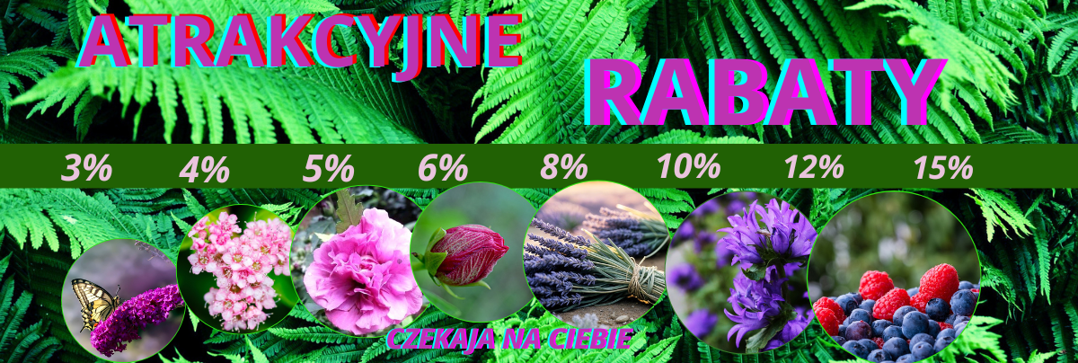 KRZEWY OZDOBNE drzewa owocowe krzewy ozdobne OFERTA CENA OPINIE